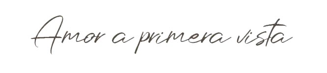 amor a primeravista