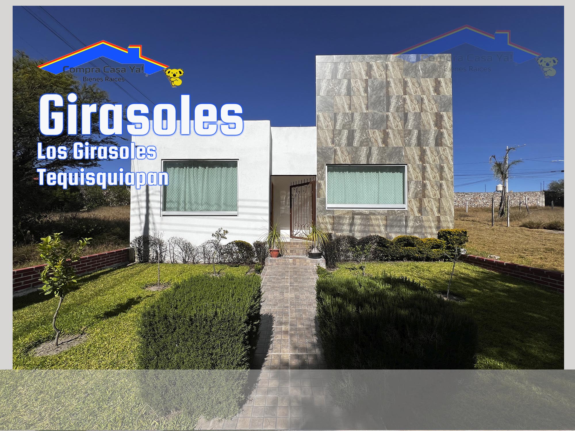 girasolesdest