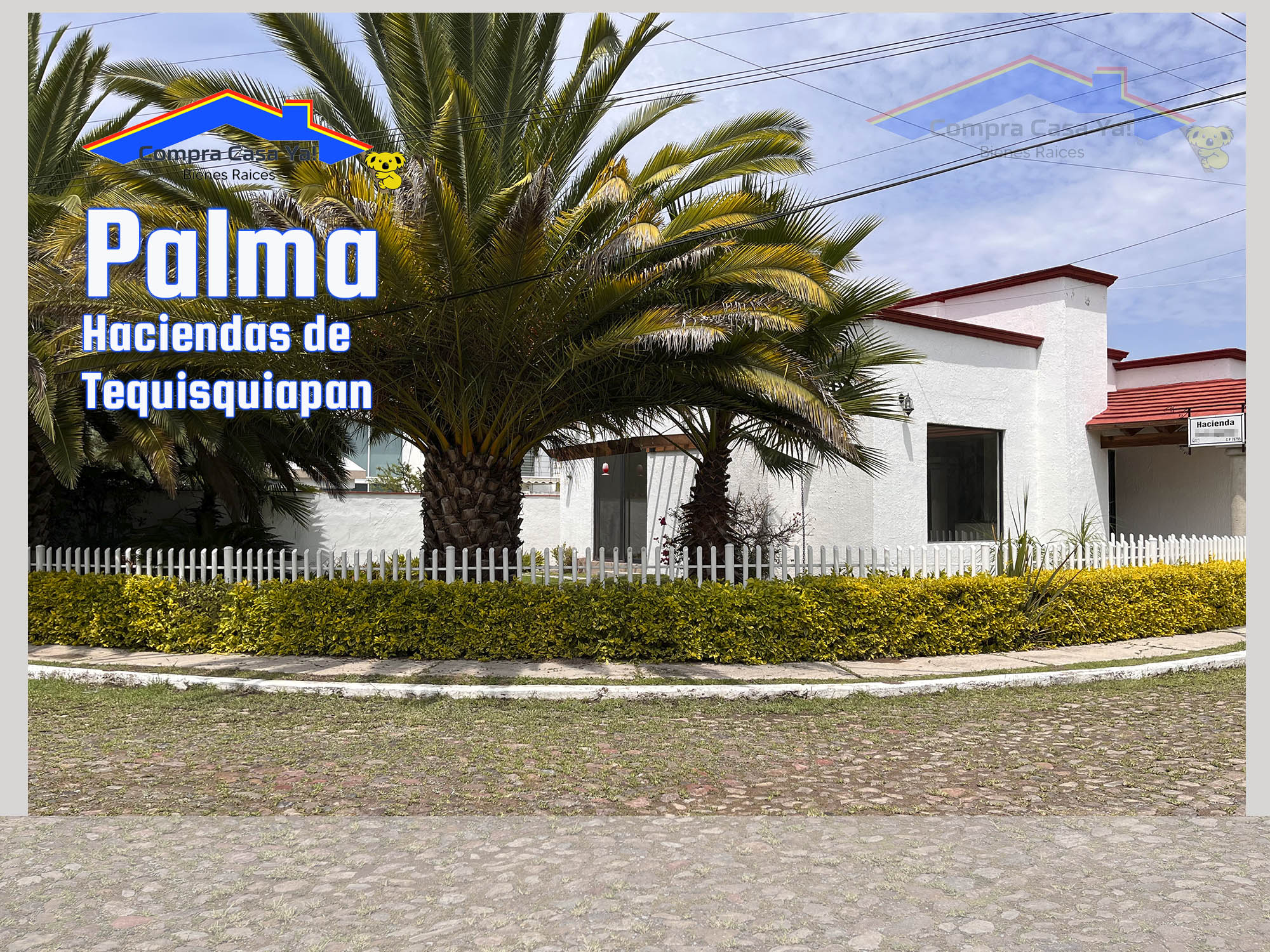 palmadest